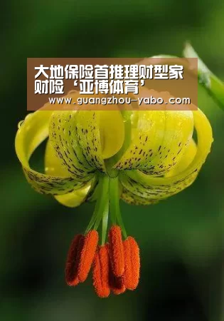 亚博体育app官方下载